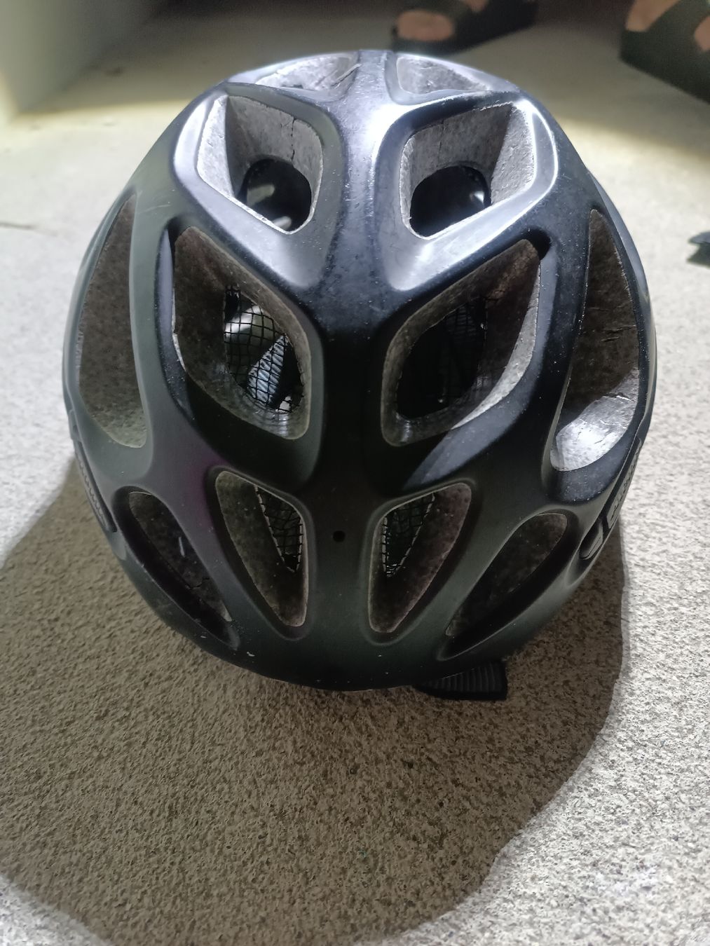 Alpina Caschi: casco bici – Usato da Bellinzona venduto da JasIvo 2