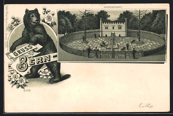Cartoline postali: Litho Bern, Ansicht vom Bärengraben – Usato da Berlin venduto da bartko-reher