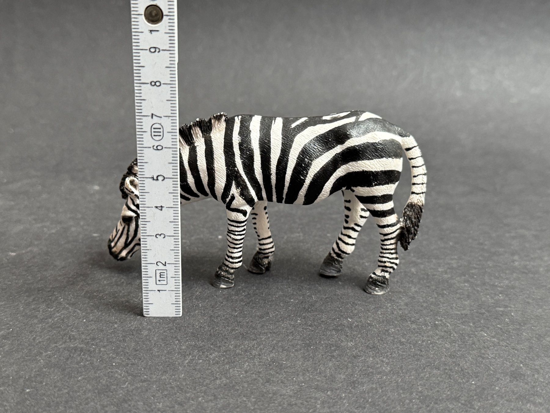 Schleich Statuette: Schleich 14609 Zebra, grasend – Usato da Ennetbaden venduto da mapa05 1