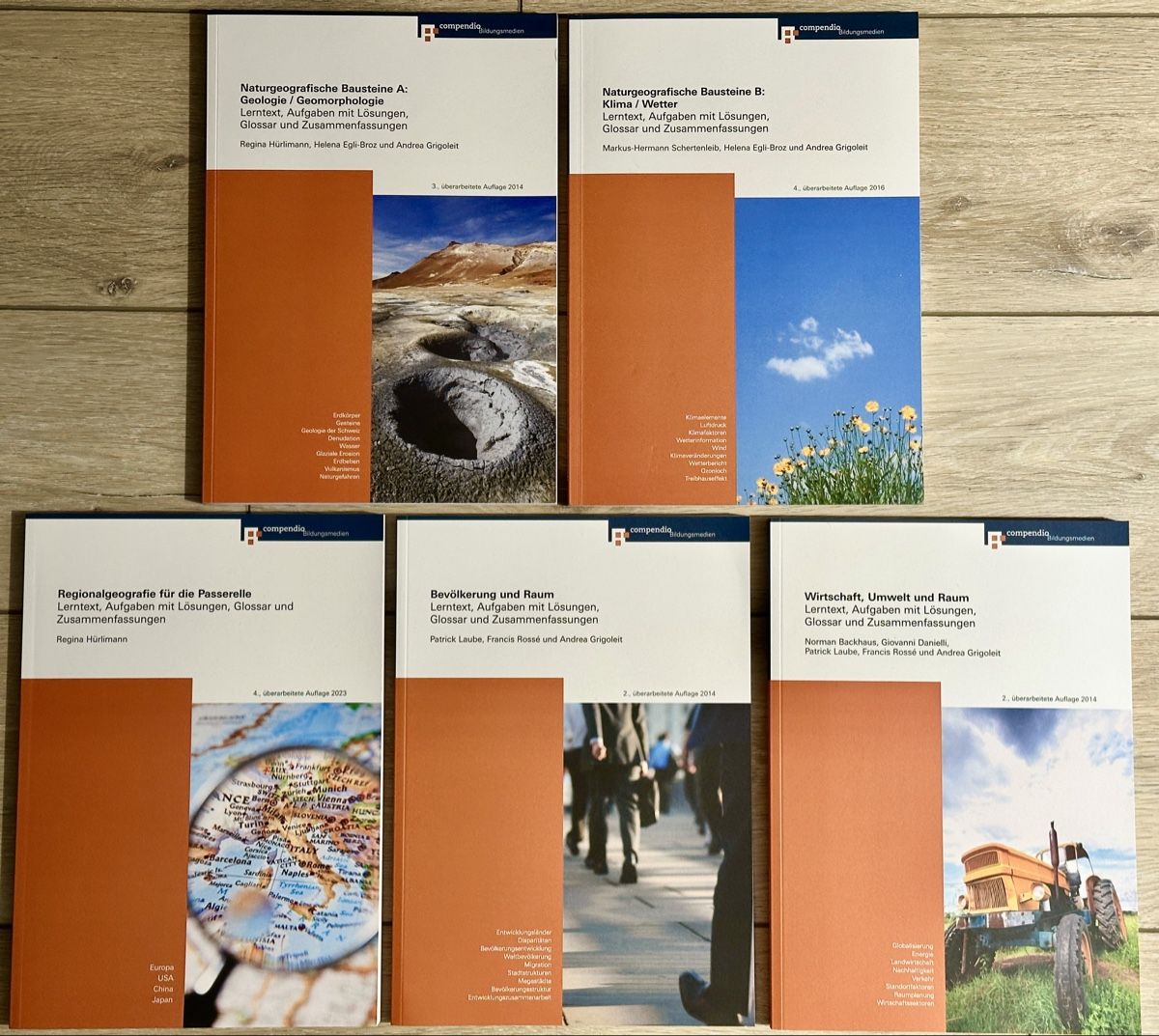 Libri: Passerelle Bücher Neuzustand – Nuovo (secondo la descrizione) da Olten venduto da kat_8jkw 5