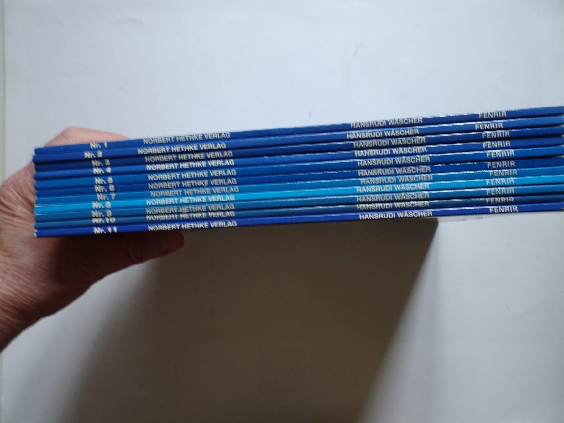 BD: Fenrir Comic Sammlung, Hefte 1-11, Top Zustand SC – D'occasion à Schönenwerd par schnitzunddrunter 1