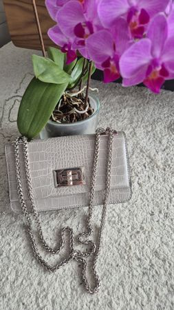 Carpisa graue Tasche