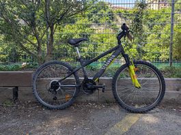 Velo junior