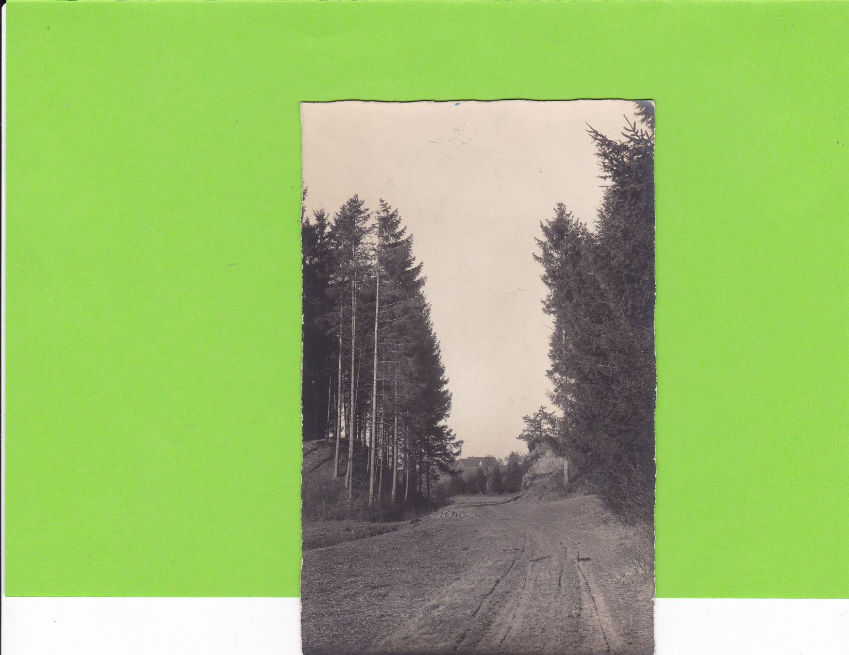 Cartoline postali: Im Wald--Davos? – Usato da St. Peterzell venduto da neckertal