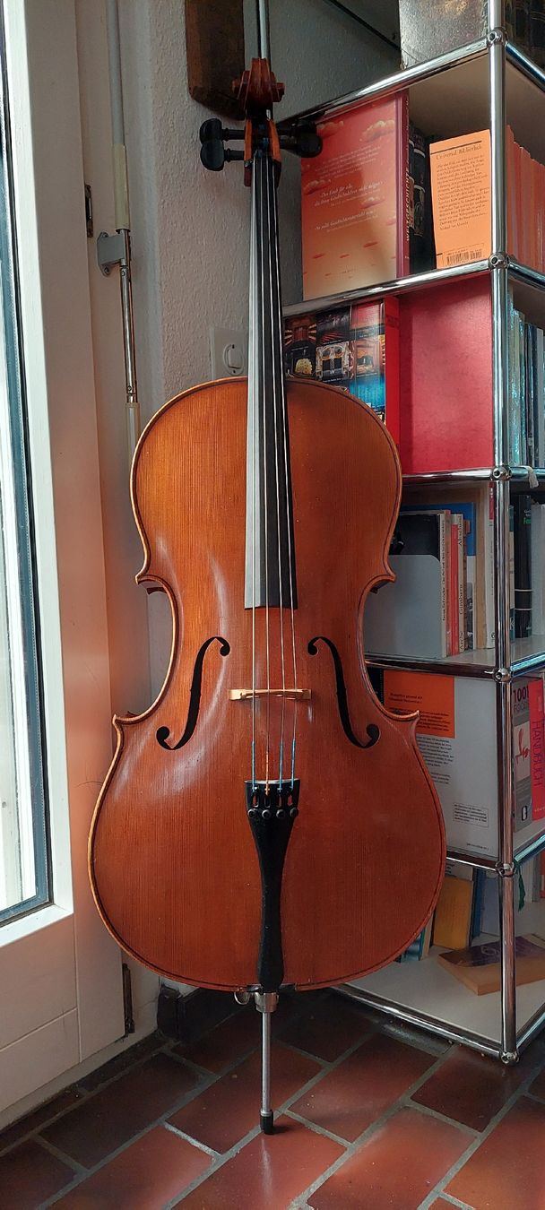 Strumenti musicali: 7/8 Meister Cello – Usato da Dielsdorf venduto da anabur