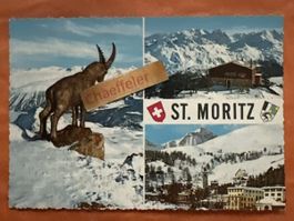 Originale St. Moritz Postkarte von 1962 mit Steinbock!