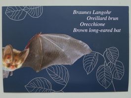 2012, Markenheft braunes Langohr, mit Inhalt, +FLEDERMAUS.