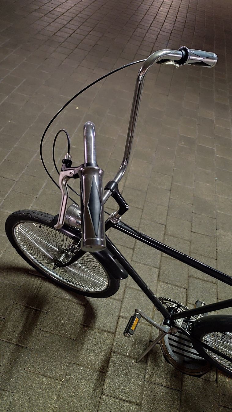 Velos: Custom Bike – Gebraucht aus Fehraltorf von Welltea73 1