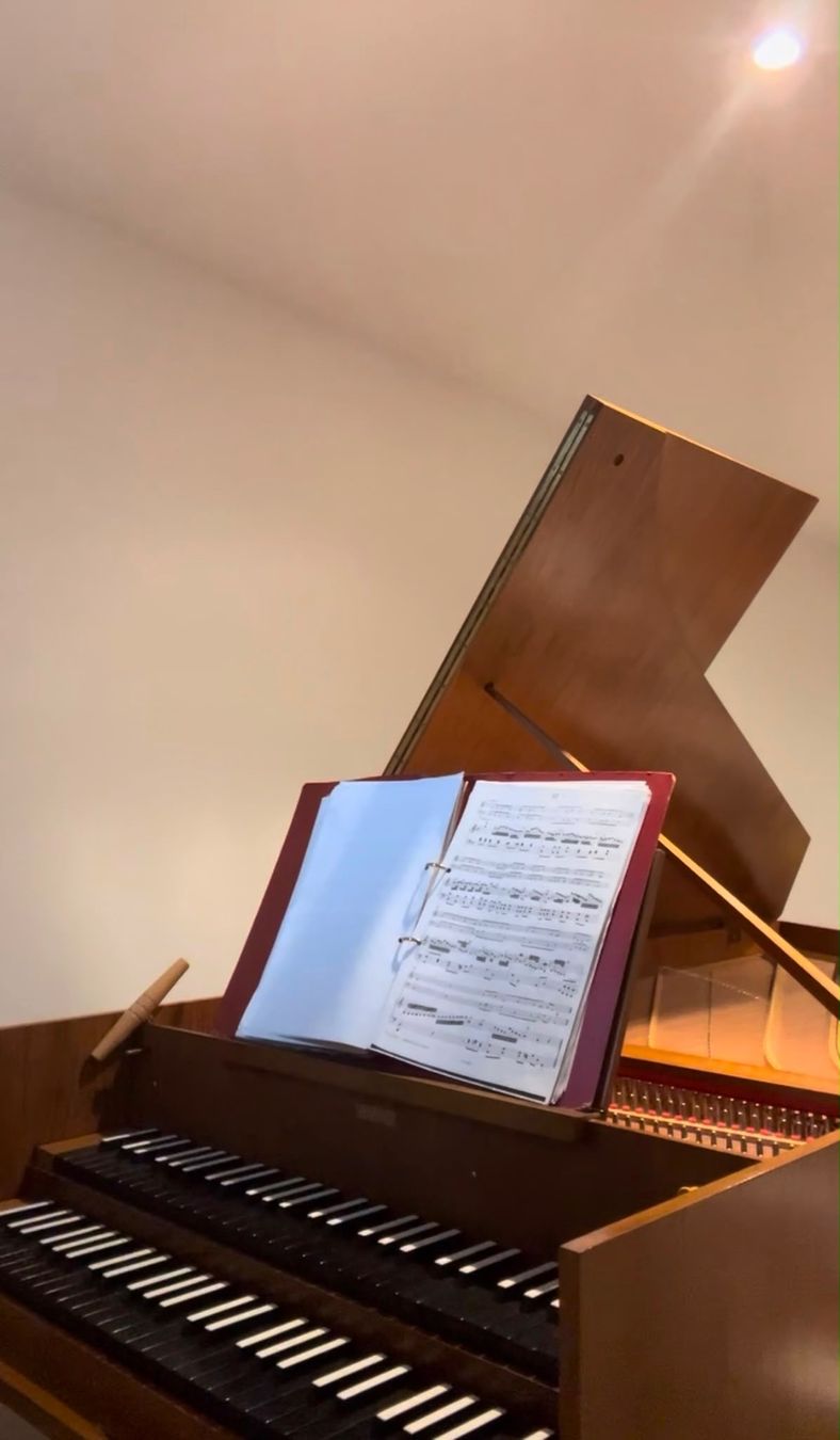 Strumenti musicali: Rare Pedal- Cembalo  -  Sassmann – Usato da Lausanne venduto da carlodellinoci