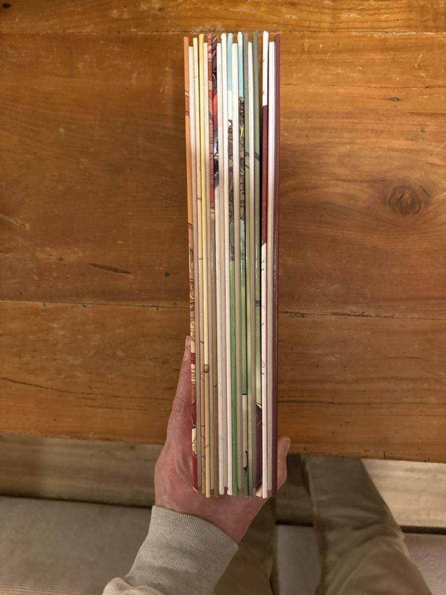 Fumetti: Zorn & Dirna (série complète) – Nuovo (secondo la descrizione) da Meinier venduto da fabdab 4