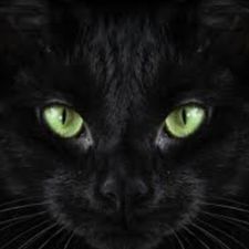 Profile image of 713luna