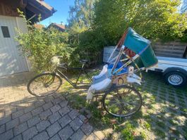 Rikscha, Personen Transport Velo
