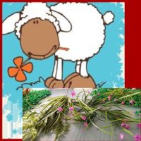 DécorationFlor(6pce+dekor)oder Grüner Rassen-Teppich Balkon!