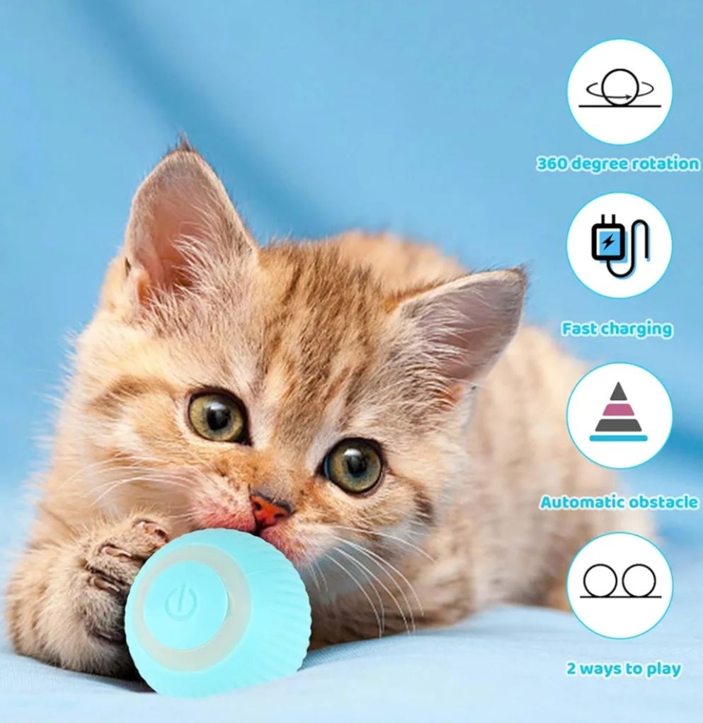 Giocattoli: Katzenball interaktiv mit Licht und Vibration – Nuovo e nell'imballaggio originale da Winterthur venduto da SwissPrime 1