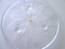 Tortenplatte aus Glas, neu