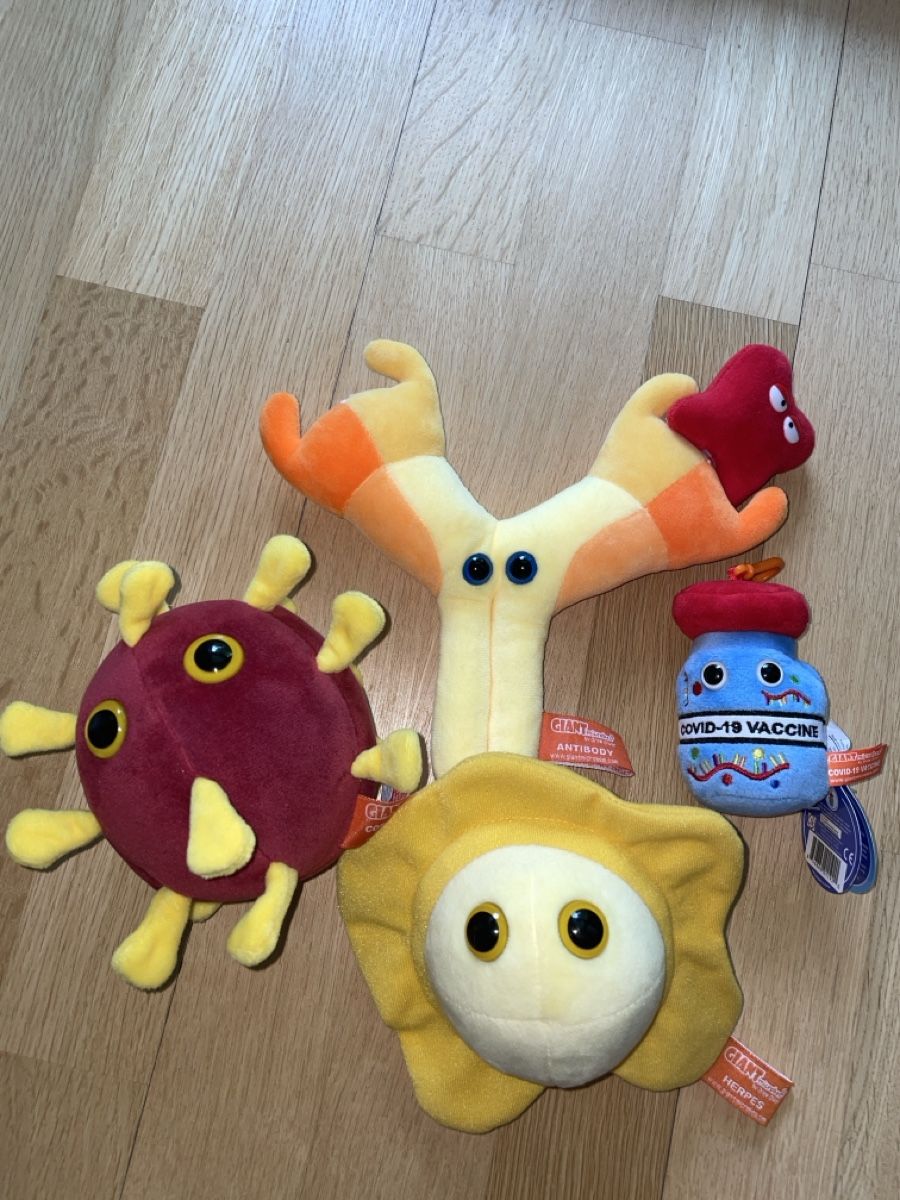 Giocattoli: Giant Microbes Stofftiere Set! – Nuovo (secondo la descrizione) da Rüfenacht BE venduto da Edinas_shop