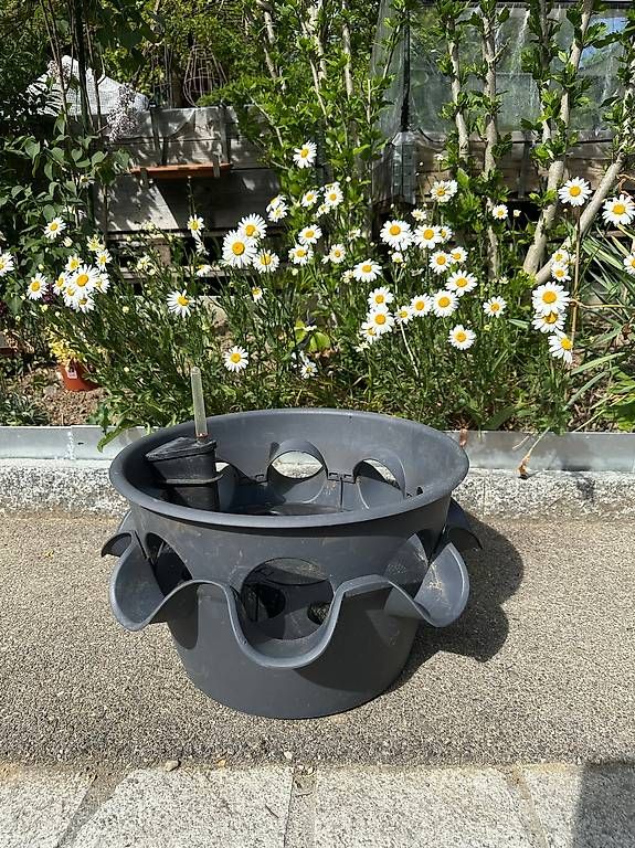 Pots de fleurs: Kräutertopf – D'occasion à Pfungen par Astaroth4