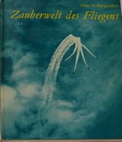 Zauberwelt des Fliegens