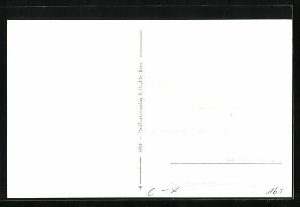 Cartoline postali: AK Bümpliz, Strassenpartie, Stöckacker – Usato da Berlin venduto da bartko-reher 1