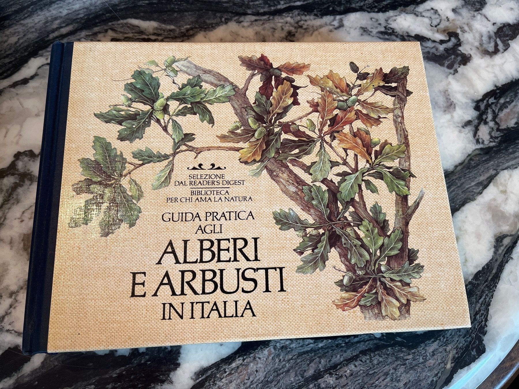Libri: Alberi e Arbusti – Usato da Goldingen venduto da books4bucks
