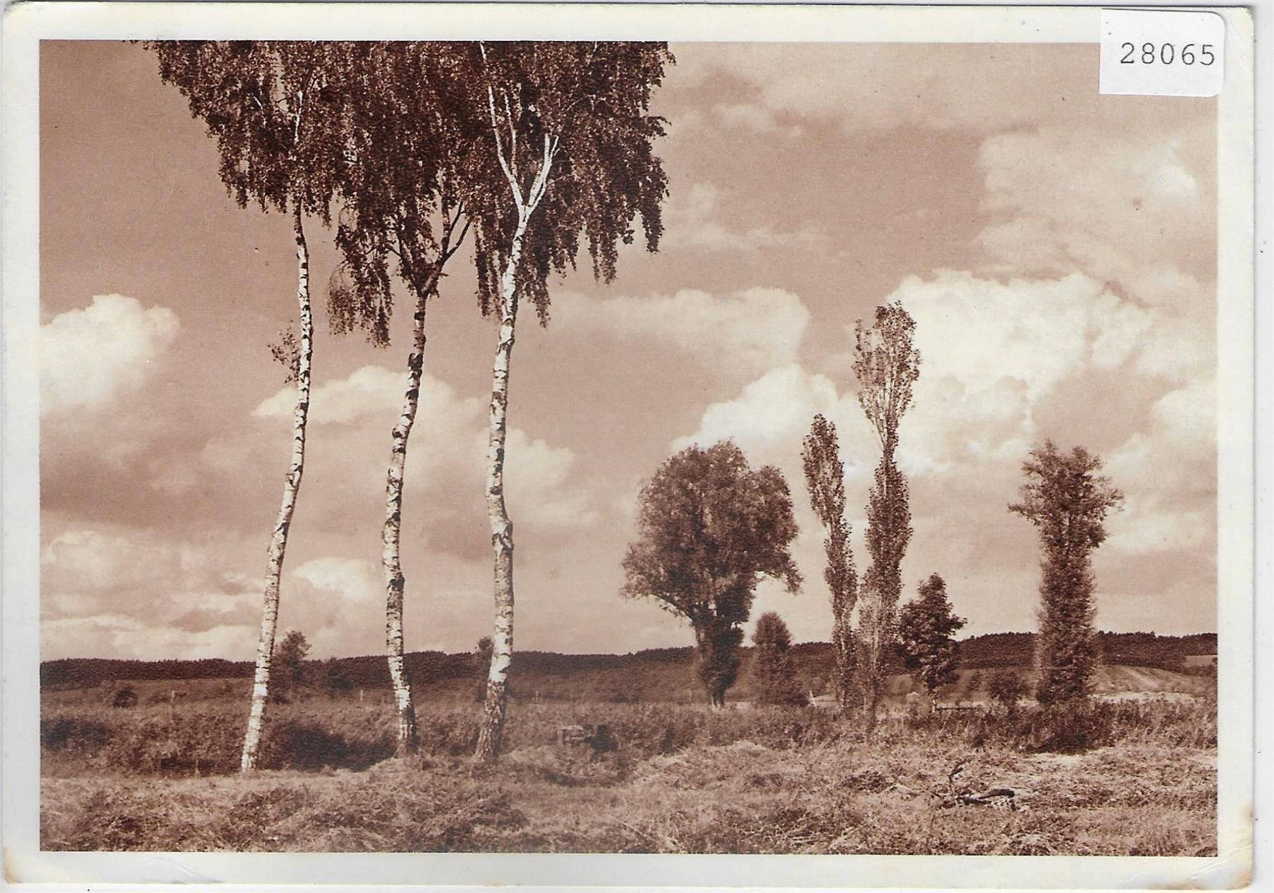 Cartoline postali: Blaukreu-Jugendwerk - Ried – Usato da Ettingen venduto da Kartenplanet
