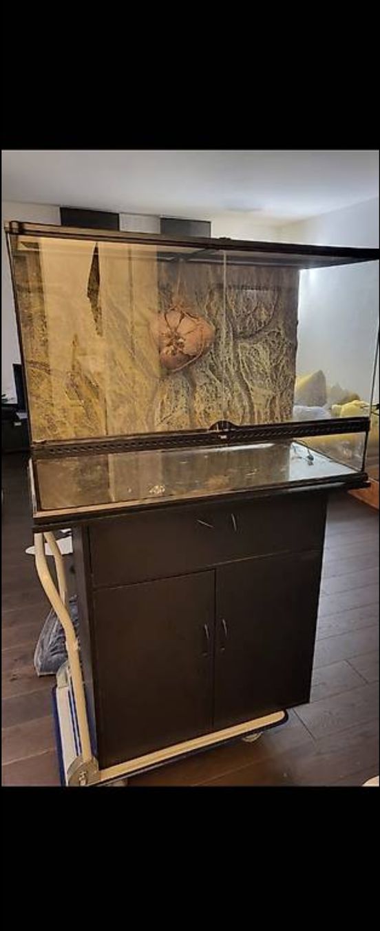 Terrarium: Terrarium inkl. Unterschrank – Gebraucht aus Lömmenschwil von S4BR1N4