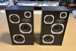 Boxen von Equar/Party-Boxen mit offenem Design, Max 200Watt
