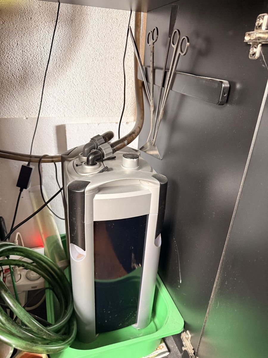 Acquari: Aquarium 400 ltr – Usato da Ménières venduto da Bibigost 1
