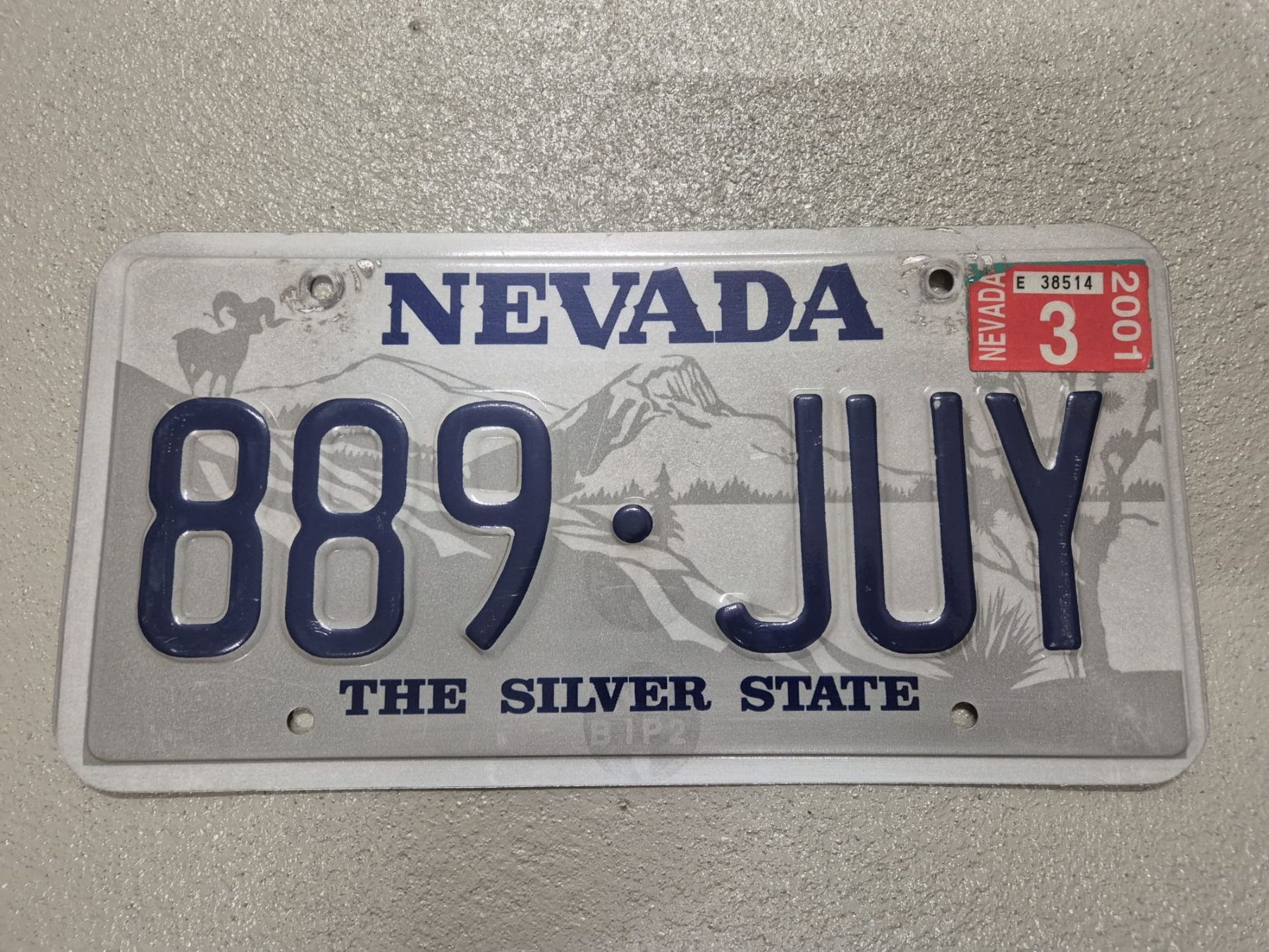 Insegne: US-Kontrollschild Nevada – Usato da Lachen SZ venduto da myr_qk5y