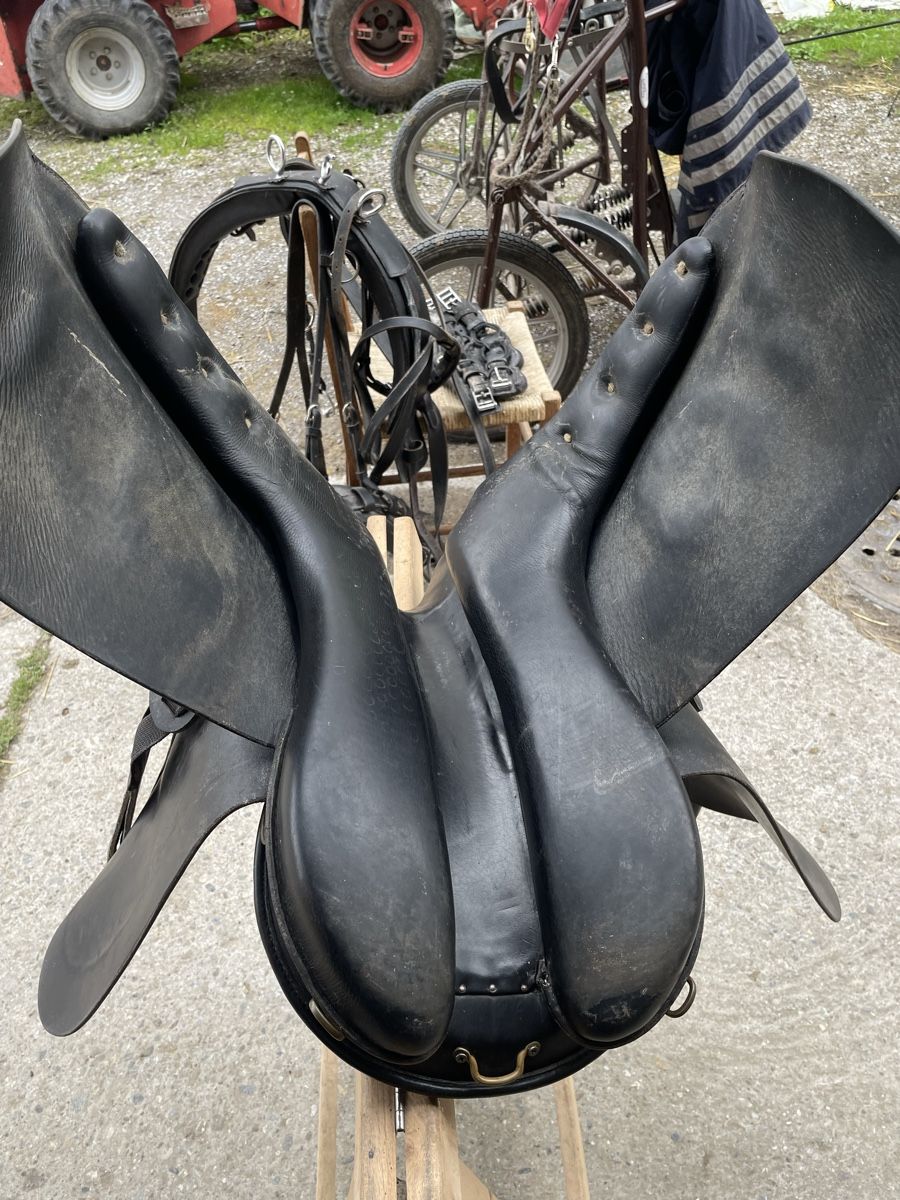 Selle & Accessori: Islandpferd Sattel HRIMNIR – Usato da Gockhausen venduto da Yvee 6