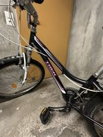 Trek Mountainbike