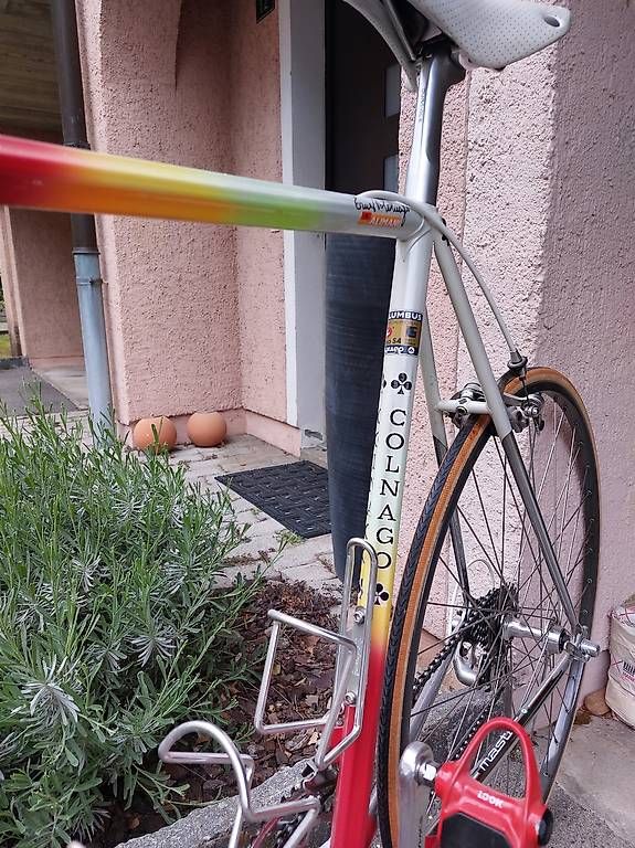 Biciclette: Colnago Master – Usato da Capolago venduto da cus_pgs9