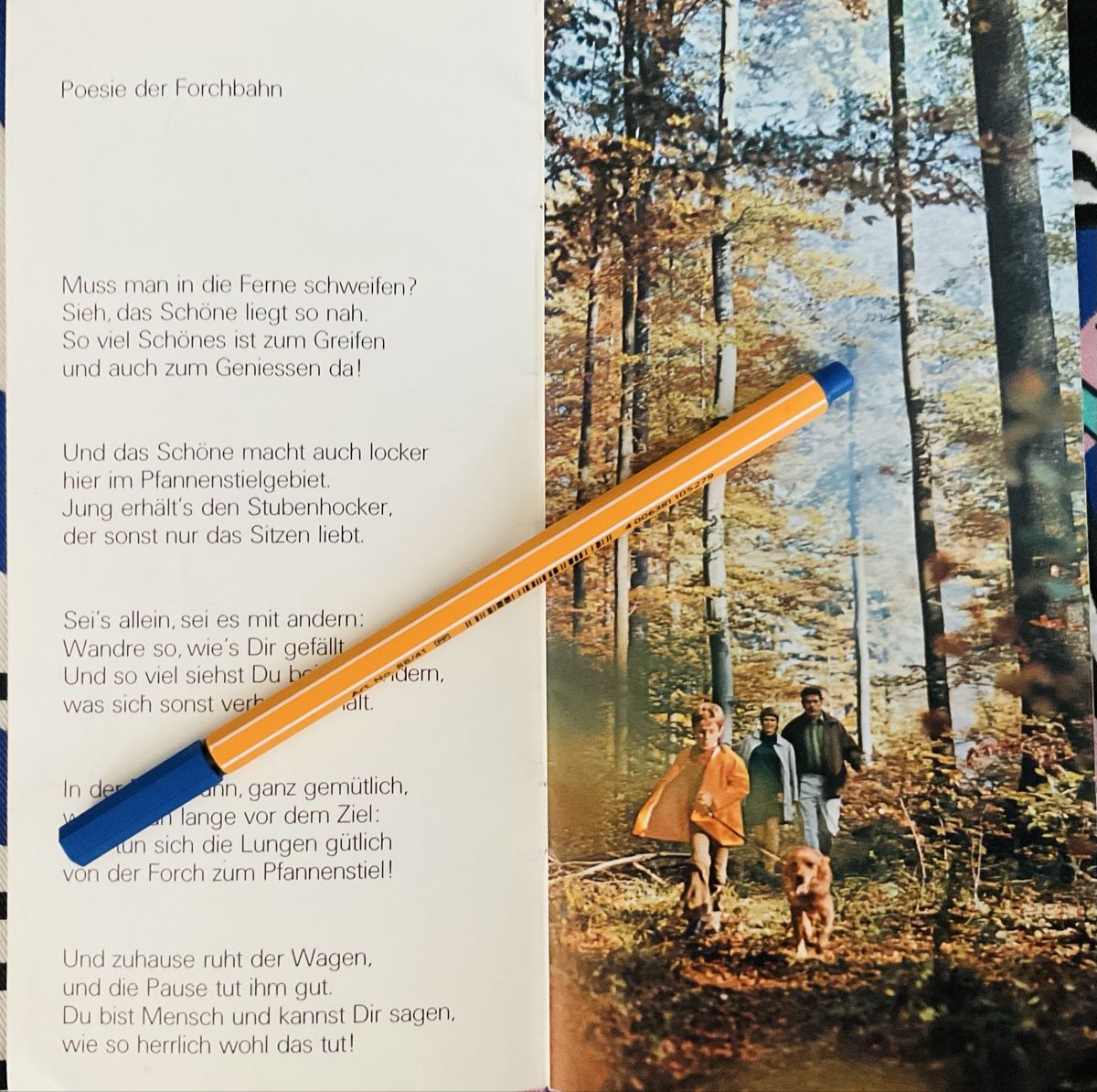Cartine & Atlanti: Wanderkarte – Usato da Herisau venduto da eri_2tb5 3
