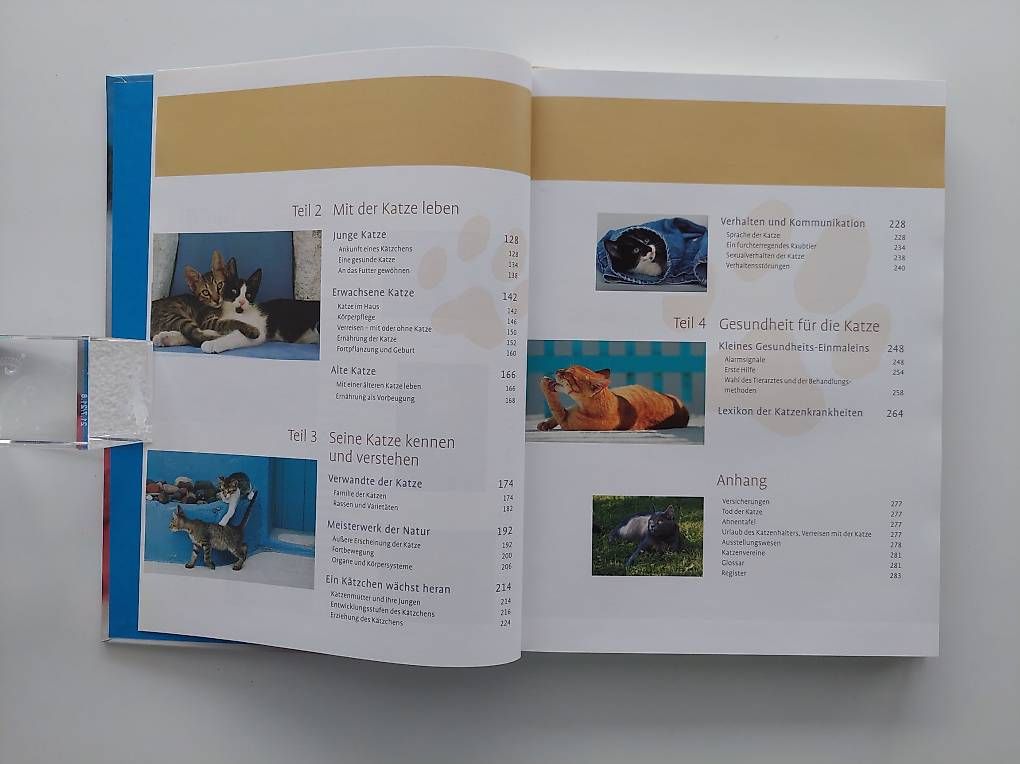 Livres: Alles über Katzen – D'occasion à Balm b. Günsberg par rob_smj8 3