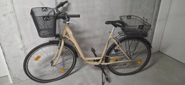 Landi Fahrrad