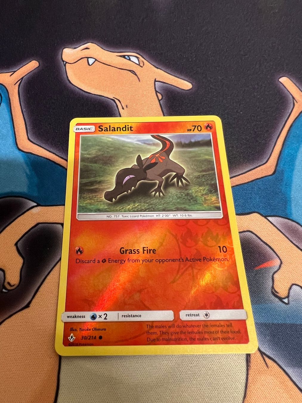 Pokémon Carte collezionabili: Salandit (UNB 30) - Reverse Holo - Unbroken Bonds – Nuovo (secondo la descrizione) da Bülach venduto da Pfrenzel