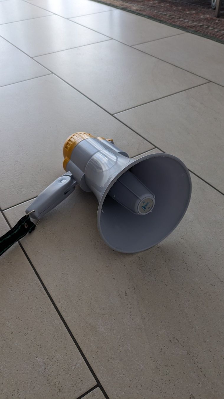 Casse acustiche: Megaphone – Usato da Wetzikon ZH venduto da V_SENN