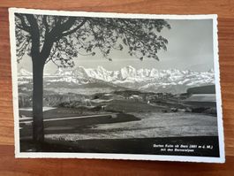 AK   Gurten Kulm ca. 1960  (G2389)