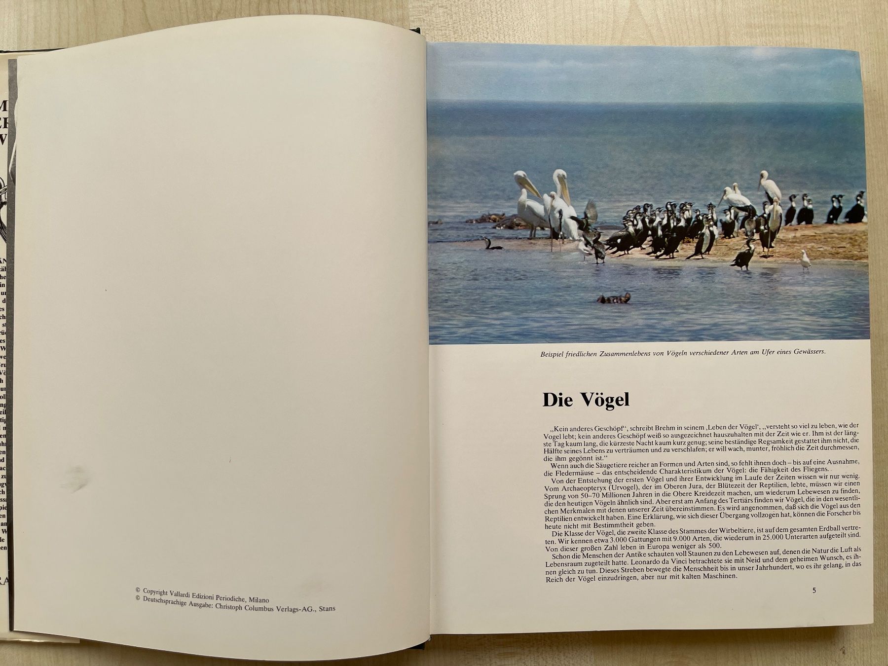 Bücher: Das Reich der Sänger Band 5 Vögel – Neu (gemäss Beschreibung) aus Kölliken von Hap-7 6