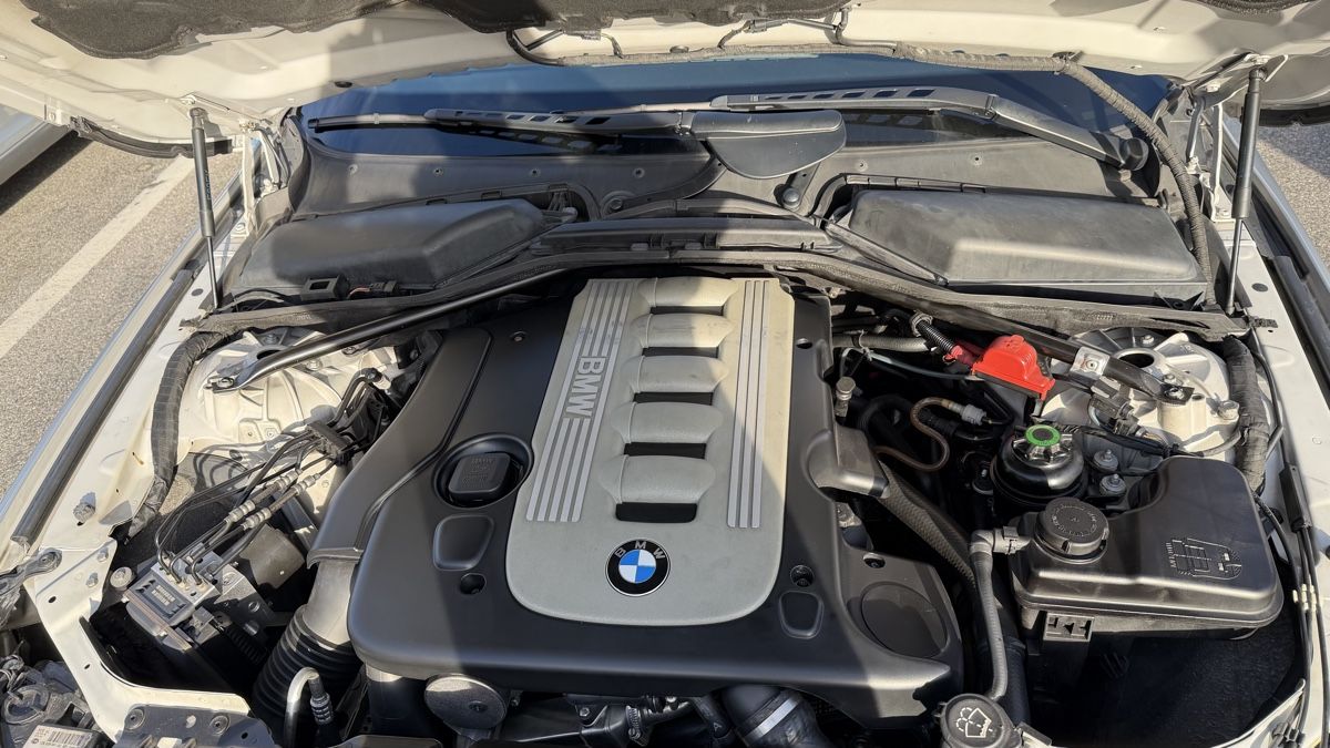 BMW Automobili: BMW 530d M57 – Usato da Chur venduto da sin_m5nw 9