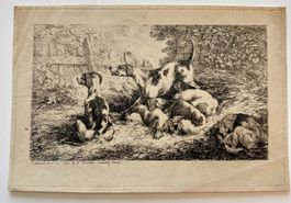 💚 ANTIKE ENGLISCHE RADIERUNG MIT JAGDHUNDE 💚 1798