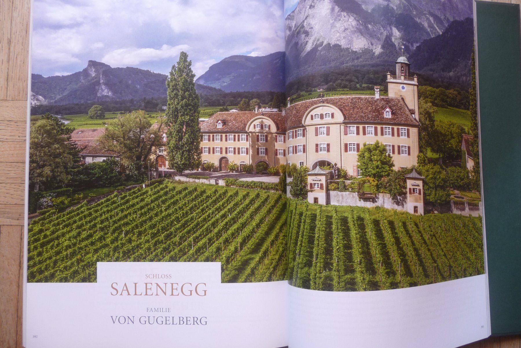 Libri: Wein Schlösser Adel – Nuovo (secondo la descrizione) da Zürich venduto da Edje 5