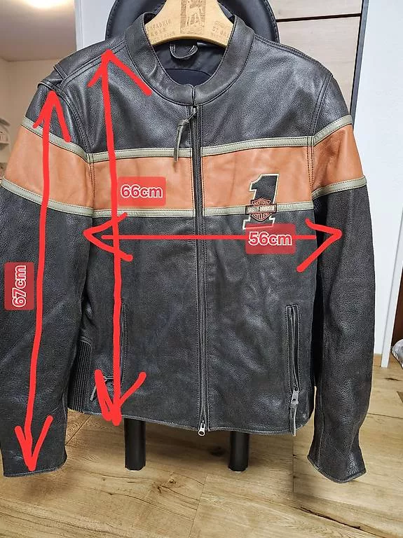 Giacche: Harley Davidson, Lederjacke – Usato da Neuenegg venduto da mak_rq67 2