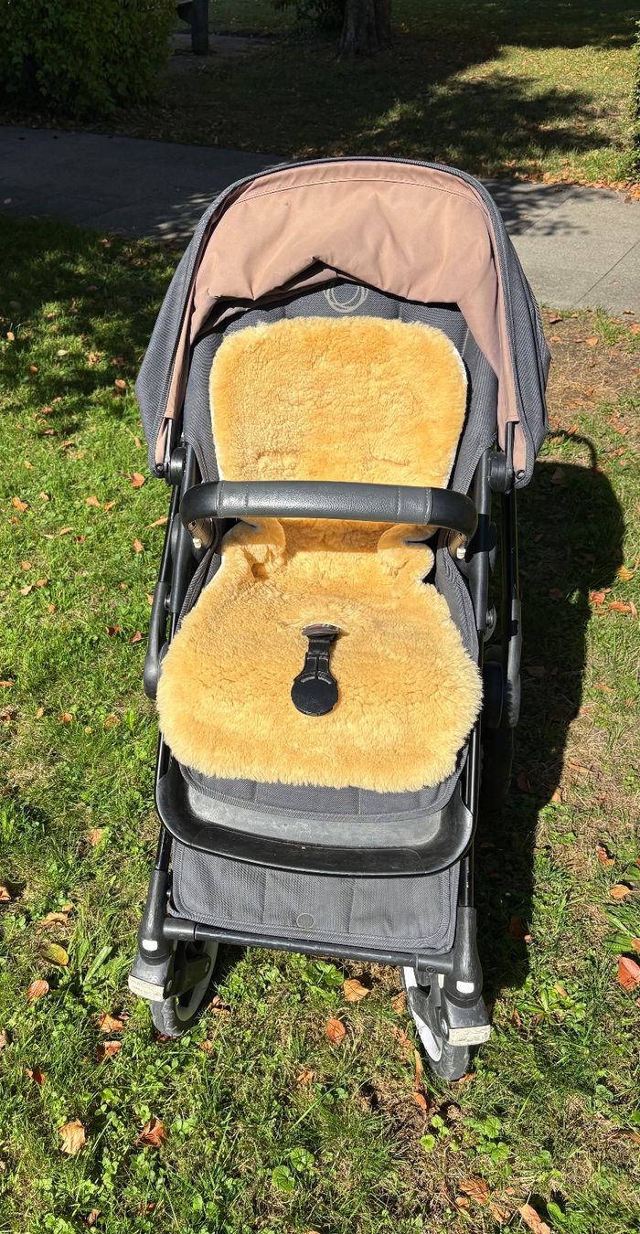Bugaboo Poussette: Bugaboo Fox Kinderwagen – D'occasion à Bern par ann_gabrielle 9