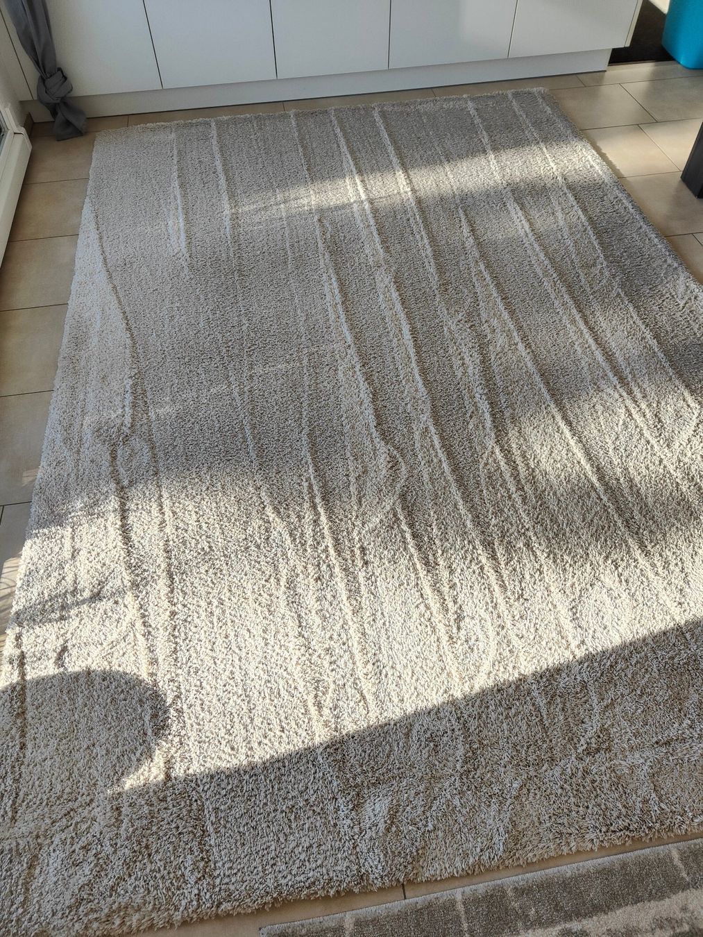 Tappeti: Hochflorteppich 200 x 290cm – Usato da Rickenbach b. Wil venduto da Beautiful.Things 1