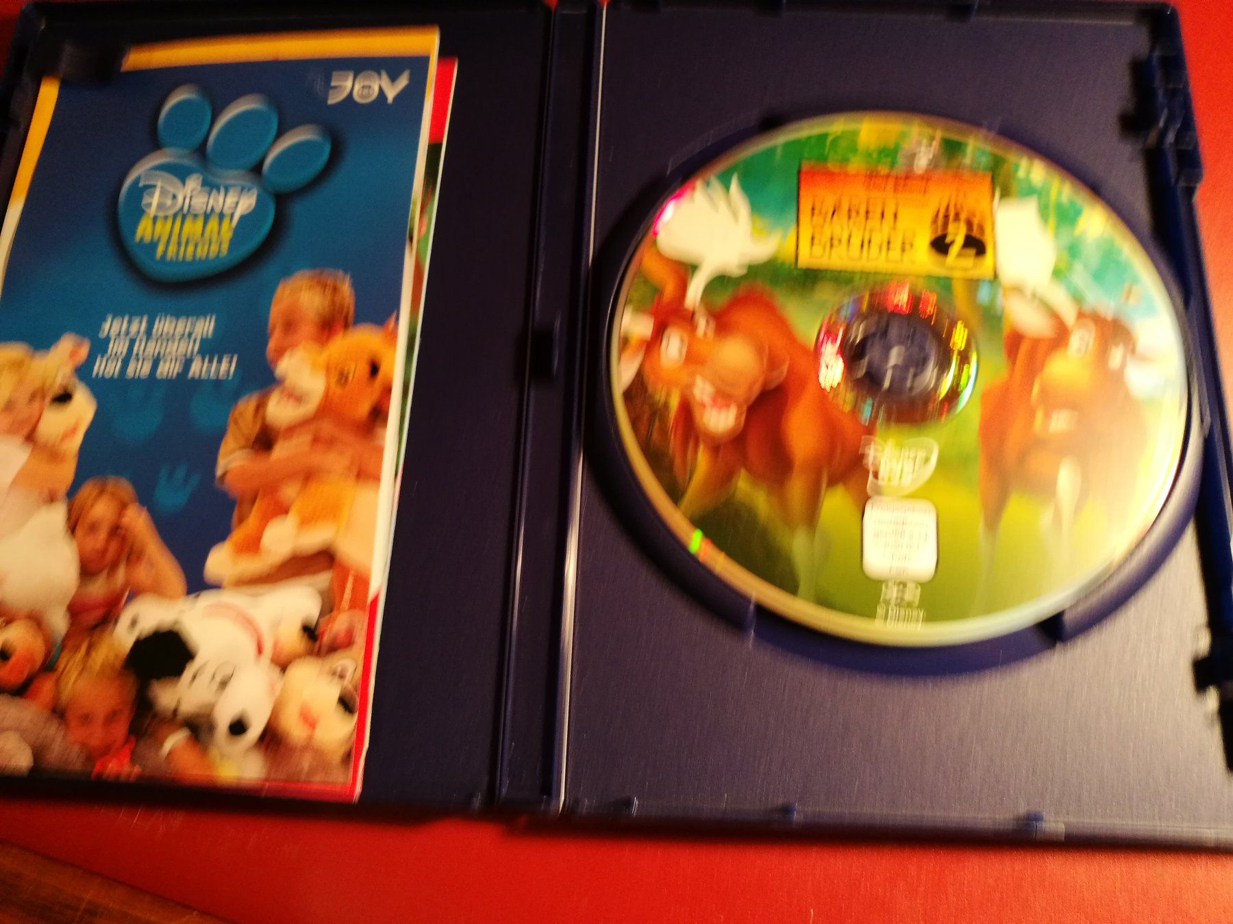 Alle DVDs: Bärenbrüder 2 DVD von Walt Disney – Neu (gemäss Beschreibung) aus Horn von sonjamenzi 3