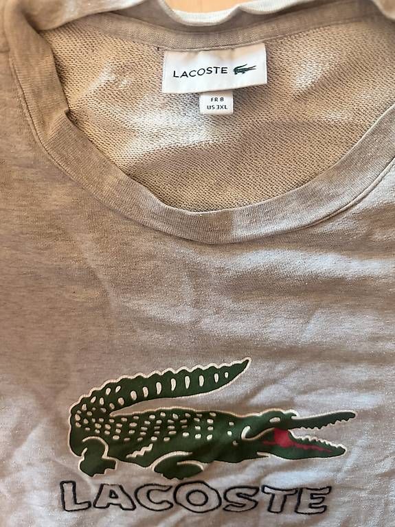 Pullover & Sweatshirts: LACOSTE SWEATSHIRT – Gebraucht aus Gümligen von dav_s5rr