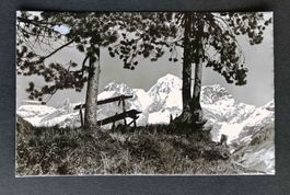 AK Kandersteg Malerischer Ausblick v der Höh auf Blüemlisalp