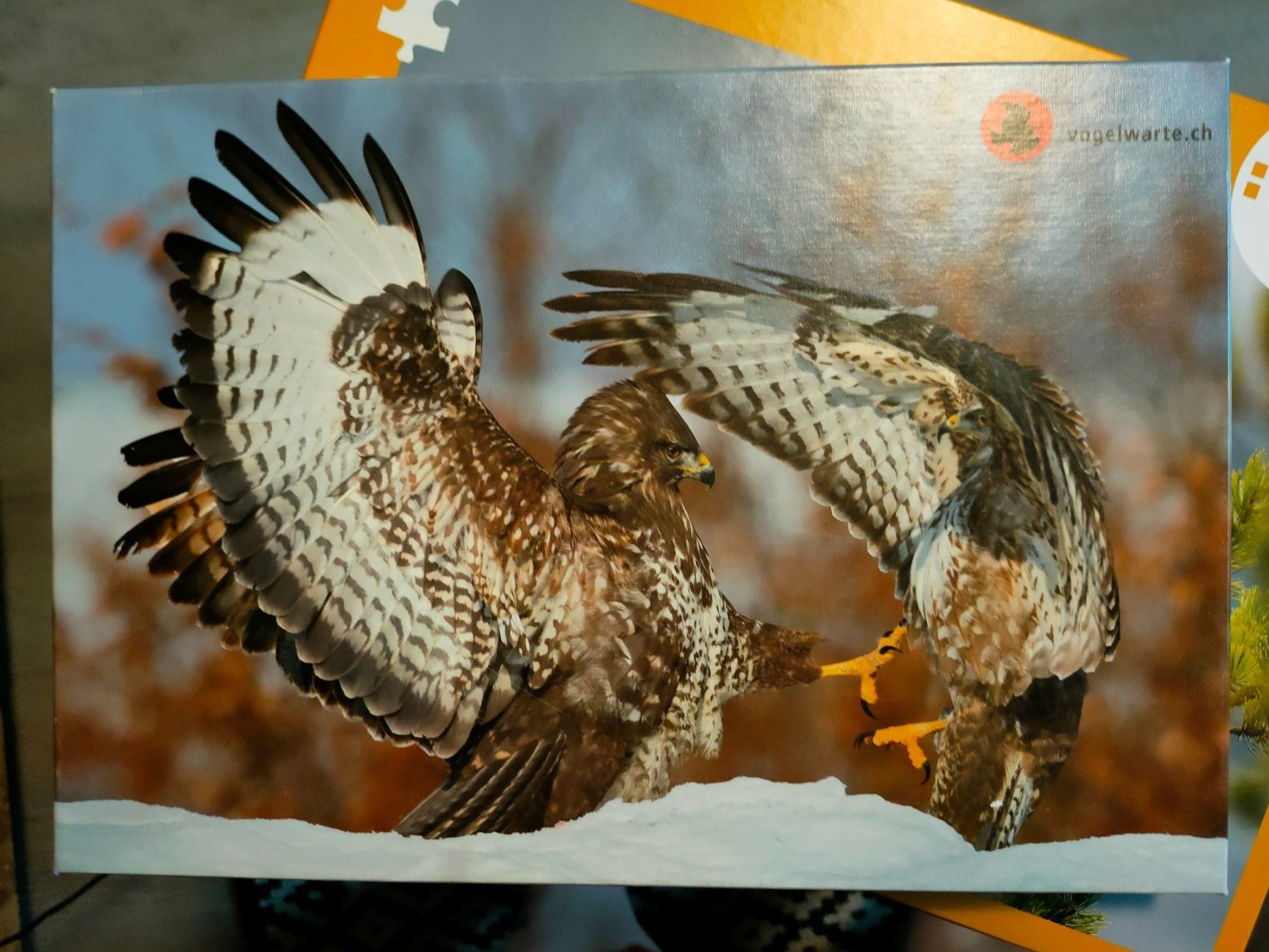 Puzzle: Vogelwarte Sempach Puzzle – Usato da kägiswil venduto da tina8109
