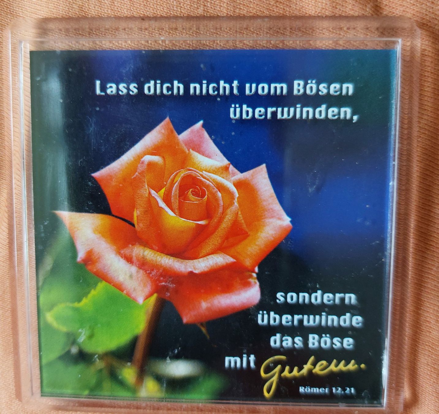 Magnets: Kawohl Magnet Bild – Neuf (Voir description) à Unterseen par Ruia3333